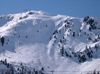 Wu23   -  (Winter04)