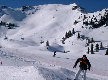 Wu36   -  (Winter04)